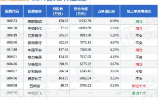 嘉实稳健靠谱吗，嘉实稳健混合官方网站