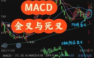 金叉死叉属于什么分析，何谓金叉死叉