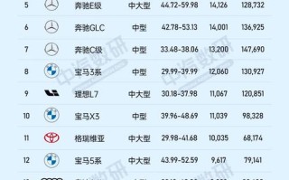 新能源汽车排名榜前十名费用，新能源汽车前十名品牌费用