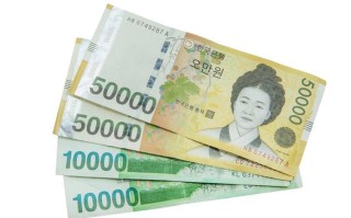 一百万韩元能在韩国玩多久，100万韩元在韩国能干吗 相当于在买的什么？
