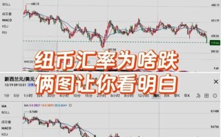 美元对纽币的汇率，美元兑换纽币走势图