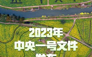 中央一号文利好哪只股票，中央一号文件利好