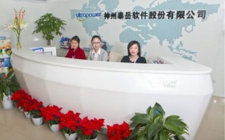 神州泰岳公司是做什么的？神州泰岳是做什么行业的？