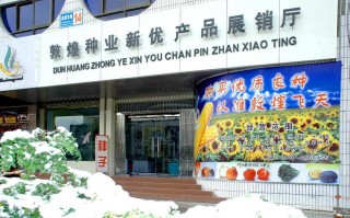 敦煌种业在哪里，敦煌种业地址？