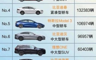 比较好的电动汽车品牌排名榜前十名？比较好的电动汽车品牌排名榜前十名标志？