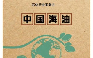 中海海油是什么性质企业，中海油是什么性质的单位？