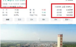 新洋丰股份股票行情，新洋丰股份股票行情分析