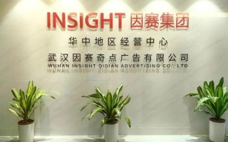 因赛集团怎么回事，因赛集团怎样