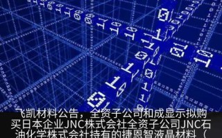 飞凯材料有海外业务吗，飞凯材料是外包公司吗