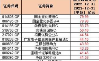 信息技术基金排名，信息类基金