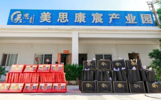 美思康辰是什么公司，美思康辰是传销吗