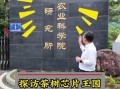 农尚环境做什么的，农尚环境是做什么的？