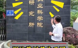 农尚环境做什么的，农尚环境是做什么的？