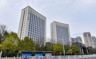 中国稀土集团有哪些分公司，中国稀土有限公司最大的公司