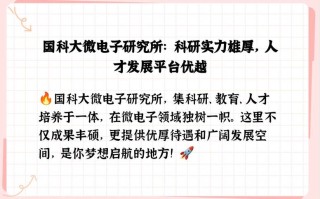国微电子是国企吗，国微电子是做什么的？