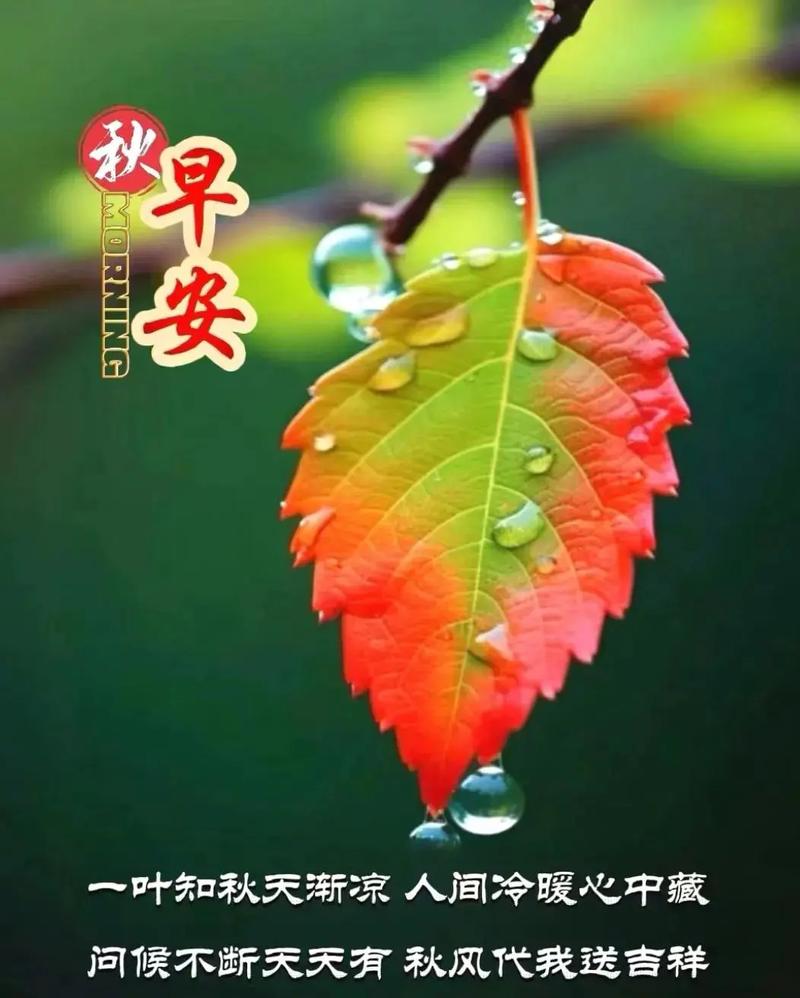 处暑下雨好吗?处暑下大雨?-第2张图片-博通理财 处暑下雨好吗?处暑下大雨?-第2张图片-博通理财