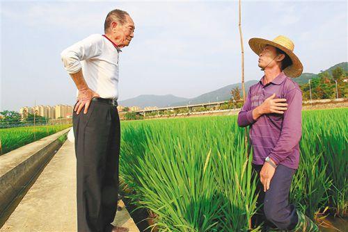 隆平高科袁隆平占了多少股份,隆平高科袁隆平有股份吗-第2张图片-博通理财 隆平高科袁隆平占了多少股份,隆平高科袁隆平有股份吗-第2张图片-博通理财