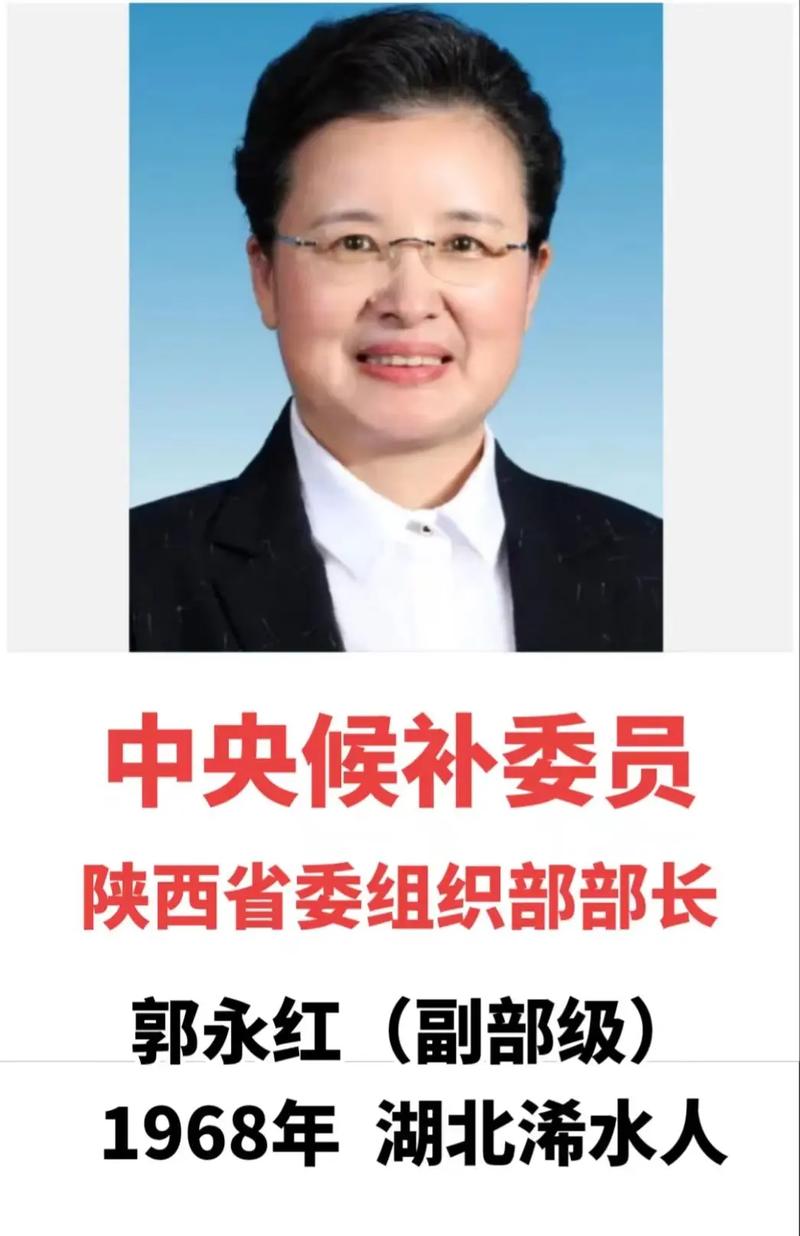 中央候补委员有多少个名额?中央候补委员有多大的权力?-第2张图片-博通理财 中央候补委员有多少个名额?中央候补委员有多大的权力?-第2张图片-博通理财