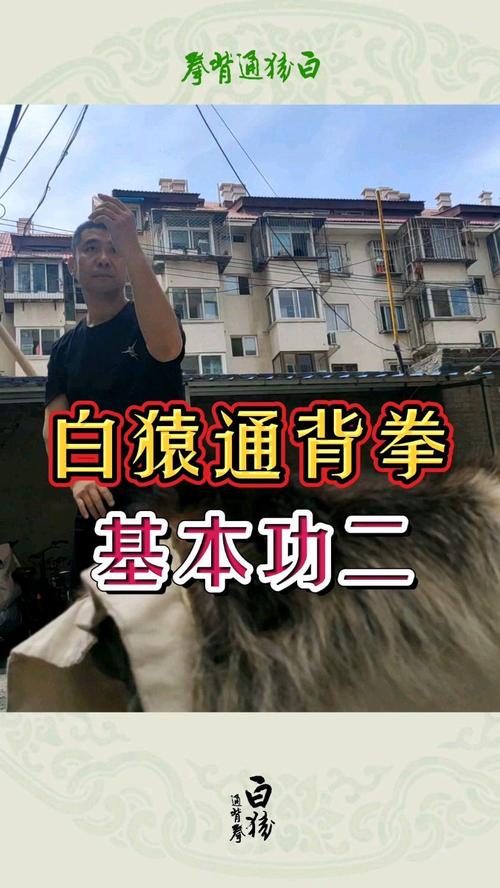 通背拳真的厉害吗,通背拳对身体有哪些好处-第1张图片-博通理财 通背拳真的厉害吗,通背拳对身体有哪些好处-第1张图片-博通理财