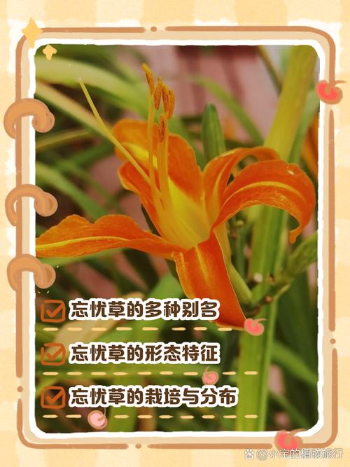 忘忧草日本社区大豆行情?忘忧草本地视频?-第1张图片-博通理财 忘忧草日本社区大豆行情?忘忧草本地视频?-第1张图片-博通理财