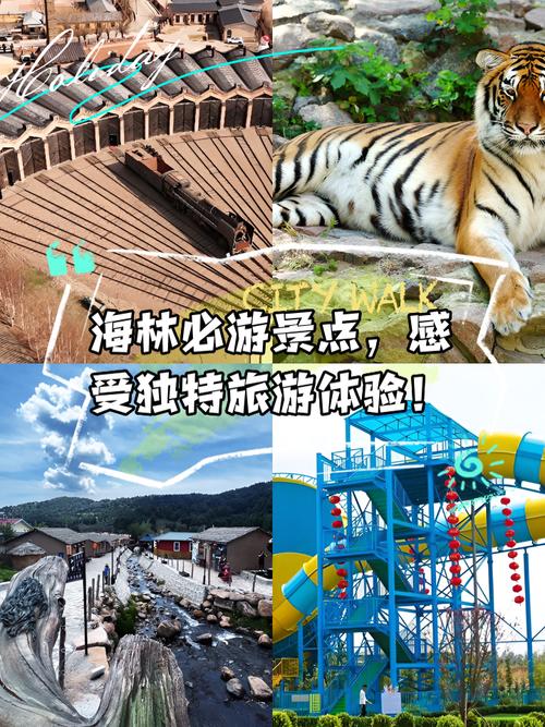 林海公园到月牙湾坐哪个公交,林海公园游乐场?-第1张图片-博通理财 林海公园到月牙湾坐哪个公交,林海公园游乐场?-第1张图片-博通理财