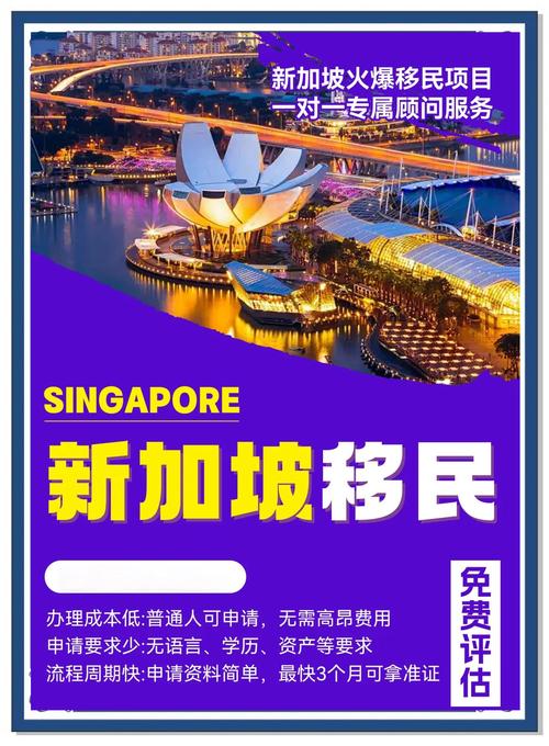 现在去新加坡需要什么条件?现在去新加坡的政策?-第2张图片-博通理财 现在去新加坡需要什么条件?现在去新加坡的政策?-第2张图片-博通理财