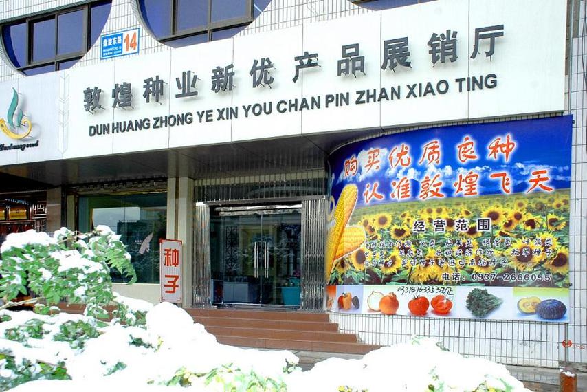 敦煌种业在哪里,敦煌种业地址?-第1张图片-博通理财 敦煌种业在哪里,敦煌种业地址?-第1张图片-博通理财
