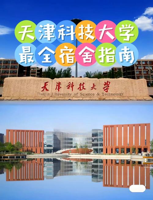 天津港东科技怎么样呀，天津港科技大学-第1张图片-博通理财