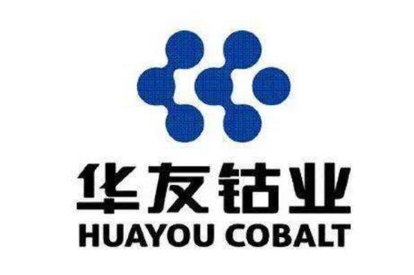上市公司镍矿的有哪些哪家公司，镍矿上市公司龙头股-第2张图片-博通理财