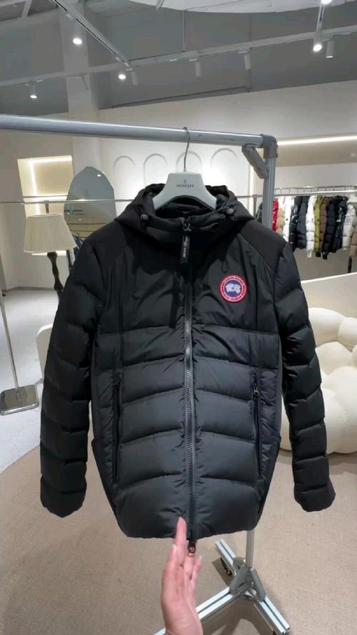 大鹅是什么品牌，大鹅是什么品牌的衣服-第2张图片-博通理财